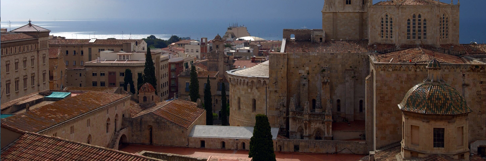 Microscopy at the Frontiers of Science 2013Tarragona, Spain, 17-20th september 2013